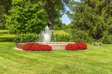 Ağaçlar, çiçekler ve güzel bir yaz gününde bir çeşme.. 