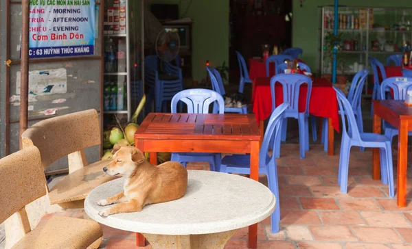 Vietnamees Hond Tafel Genieten Van Zon Een Van Straat Coffeeshop — Stockfoto