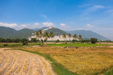 Kırsal ton rotadan Ho Chi Minch şehrine geçen trende yakalanan Vietnam şaşırtıcı görünümü.