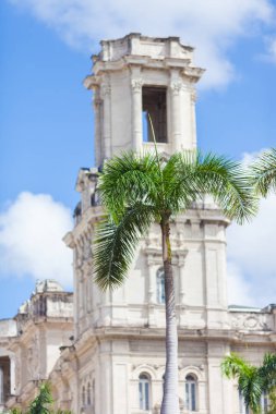 Palmiye ağacı ve arka planda Küba Havana şehirde eski kesiminde, tarihi bina.