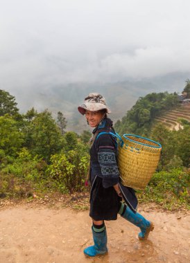 Sa pa, Vietnam-13 Aralık 2013. Geleneksel sepet omuzlarında taşıyan siyah Hmong kadın eve Sa pa kasabadan köye Muong Hoa Vadisi'nde 13 Aralık 2013 Kuzey Vietnam'da yürür.