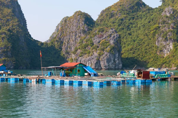 Залив Халонг Вьетнаме Одна Живых Площадок Домом Местных Жителей Плавучей — стоковое фото
