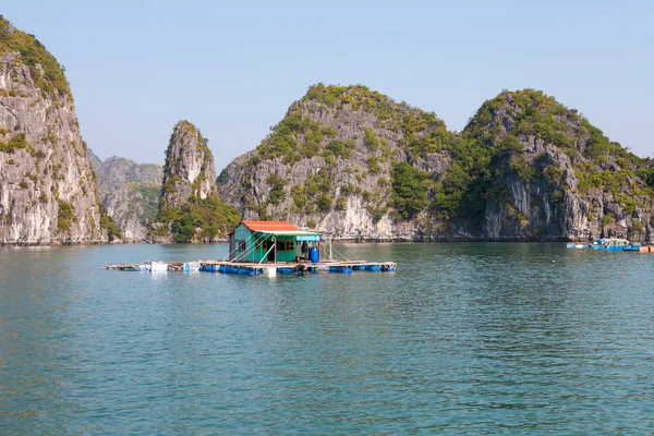 Bay Vietnam Aralık 2013 Uzun Uzun Bay Kuzey Vietnam Aralık — Stok fotoğraf