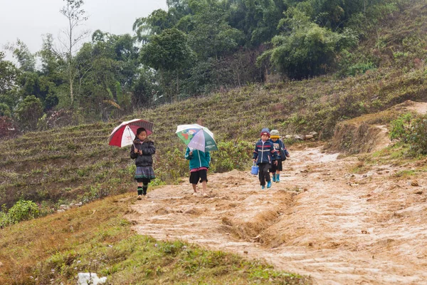 Vietnam December 2013 Vietnamese Black Hmong Children Walking Alone Rainy — Stock Photo, Image