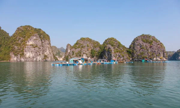 Uzun Bay Vietnam Yüzen Balık Tutma Köyü Nde Balıkçılar Evlerin — Stok fotoğraf