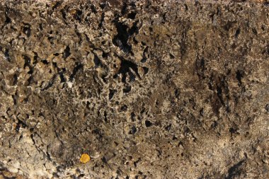 eski gri beton duvar pürüzlülük yüzey topografyası doku