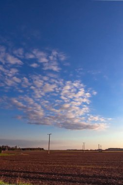 Şafak güneşinin ışınlarıyla aydınlanan bir dizi ışık sirrus bulutu sabah mavi gökyüzüne karşı. Dikey tarım manzarası.