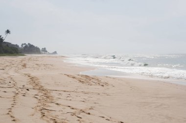 sabah boş plaj hint okyanusu plaj koggala sri lanka