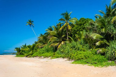 Koggala sri lanka'da Hint okyanusu plajı 