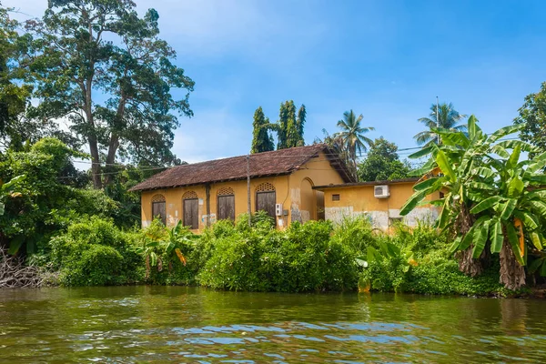river house surrounded by tropical plants and palm trees
