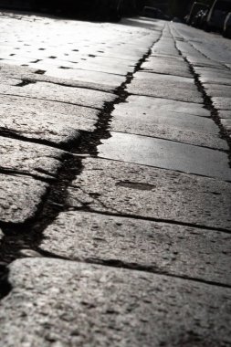 Arka planda taşlar var. yakın plan