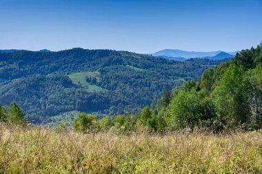 Karpat Dağları Manzarası