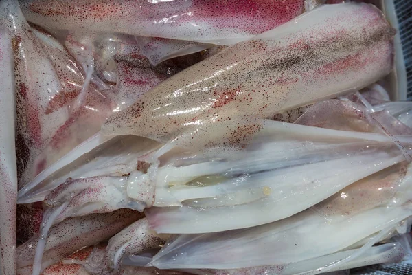 Zbliżenie Świeże Kalmary Koszyku Świeże Owoce Morza — Zdjęcie stockowe