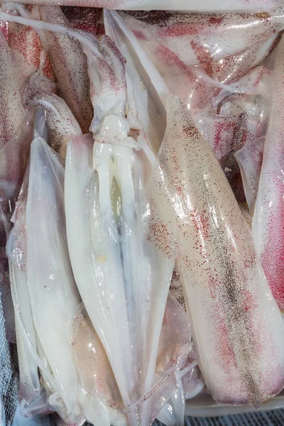 Närbild Färska Bläckfiskar Korgen Färska Skaldjur — Stockfoto