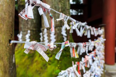 Omikujin takılar veya Japonya, türbelerin gazetelerde rasgele servet.