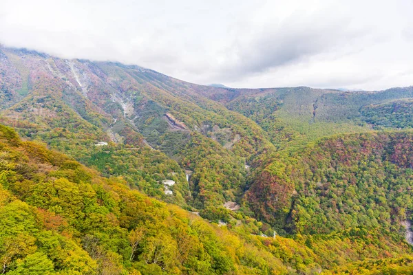 在阿凯希达伊拉高原的缆车上看到秋季的森林景观 — 图库照片