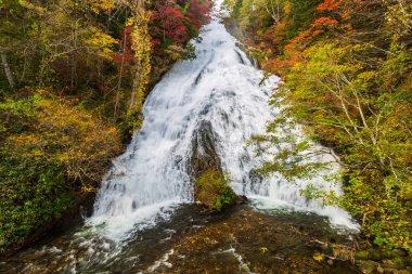 Yudaki Falls sonbahar sezonu Nikko Milli Park, Nikko, Japonya.