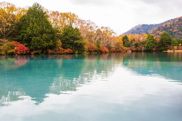 Yuno Lake Görünümü Sonbahar Sezonu Nikko Milli Park Nikko Tochigi — Stok fotoğraf