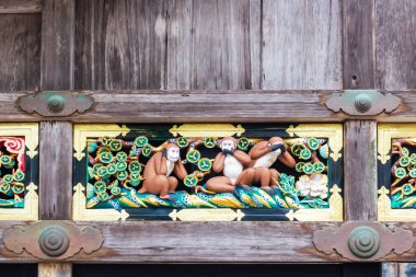 Nikko, Japonya'da Nikko Toshogu tapınak Tapınağı'nda ünlü üç bilge maymunlar.