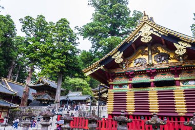 Nikko Nikko Toshogu tapınak tapınakta sonbahar, Japonya.