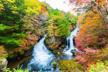 Nikko, Japonya'da sonbahar sezonunda Ryuzu Şelalesi.