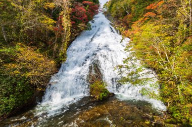Nikko, Japonya 'da sonbahar mevsiminde Yudaki Şelaleleri.