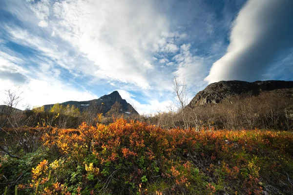Autumn Landscape Coast Norwegian Sea Tromso — Stock Photo, Image