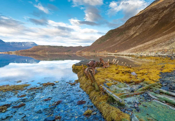 Herfst Landschap Kust Van Noorse Zee Tromso Rechtenvrije Stockfoto's