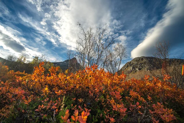 Paesaggio Autunnale Costa Del Mare Norvegese Tromso Immagine Stock