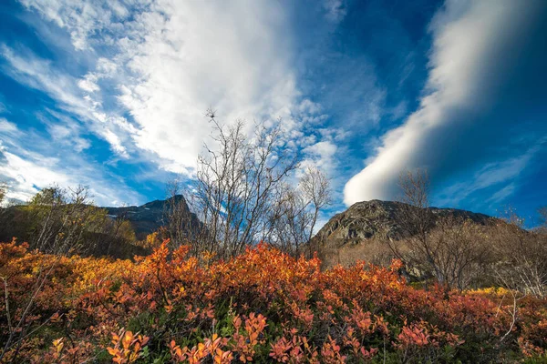 秋の風景ノルウェー海の海岸 トロムソ ストック画像
