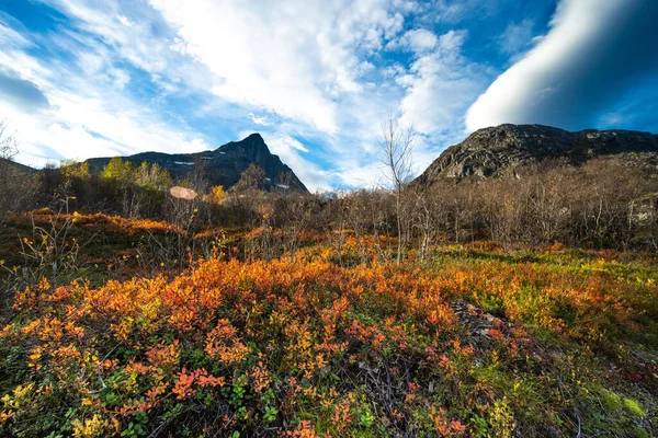 Podzimní Krajina Pobřeží Norského Moře Tromso Royalty Free Stock Fotografie