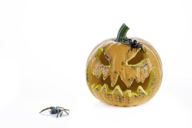 Büyük turuncu balkabağı, gözleri, ağzı ve beyaz bir arka planda izole edilmiş iki örümcek..