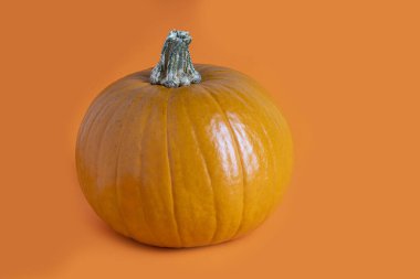 Turuncu arka planda izole edilmiş büyük turuncu balkabağı.