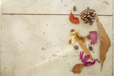  Sonbahar kompozisyon Kuru yapraklar, çam kozalağı, çiçekler, beyaz ahşap üzerinde rowan çilek. Sonbahar, sonbahar, şükran günü konsepti. Düz görünüm, üst görünüm.