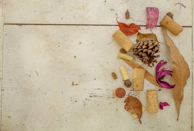 Şarap mantarları, kurutulmuş yaprakları, pinecone, çiçek, beyaz ahşap üzerinde rowan çilek ile Sonbahar kompozisyon. Sonbahar, sonbahar, şükran günü konsepti. Düz görünüm, üst görünüm.