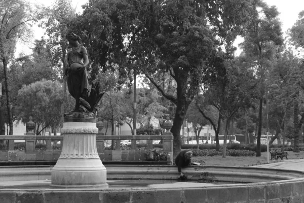 Mexico City 2018年9月21日メキシコ人の老女が 女神パーセフォン専用の噴水で服を洗う — ストック写真