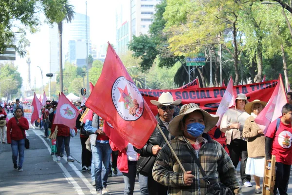 MEXICO CITY, MEXICO - Şubat / 04 / 2017 Meksikalı EZLN köylülerinin barışçıl protestosu