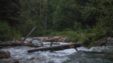Akıntıya karşı Imeretinka dağ Nehri Yolculuk