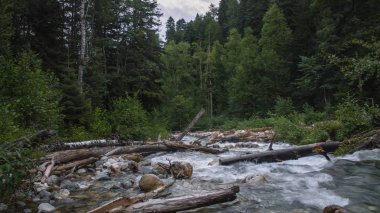 Akıntıya karşı Imeretinka dağ Nehri Yolculuk