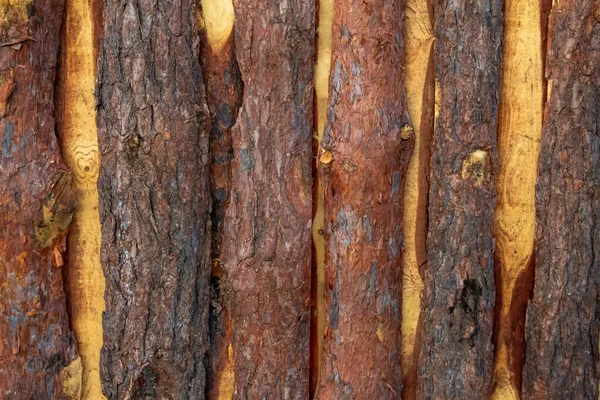 Una Cerca Hecha Tablones Madera Sin Tratar Corteza Árbol —  Fotos de Stock