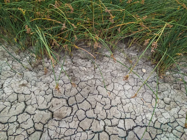 Den Torkade Och Spruckna Leriga Botten Grund Sjö Flod Eller — Stockfoto