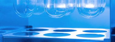 Rafta bir sürü test tüpü var. Test tüplerinin altı.