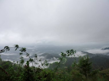 Dağın tepesinde yuvarlanan sis
