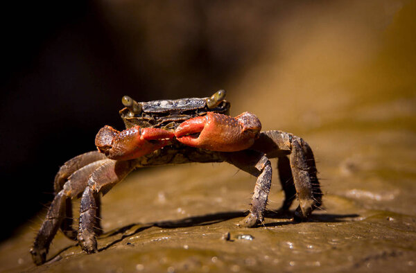 Рыбак рыбалка на берегу моря
 