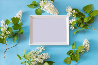 Mavi zemin üzerine beyaz leylak ve beyaz çerçeve çiçek. Metniniz için kopya alanı.