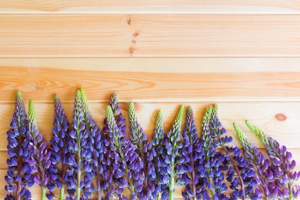 Blue wildflowers lupine border on wooden background with copy space. Selective focus.