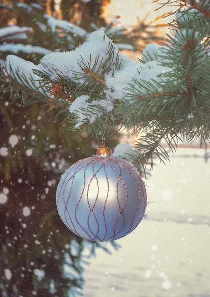 Boże Narodzenie Ball Wiszące Gałęzi Drzewa Lesie Zimą Śnieg Selektywny — Zdjęcie stockowe