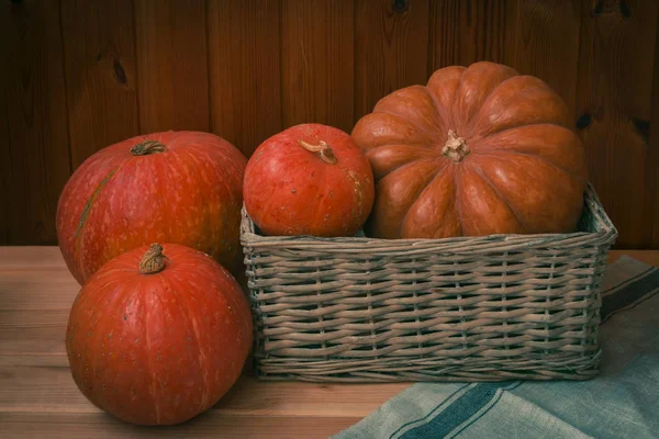 Verschillende Pompoenen Rieten Mand Nabije — Stockfoto