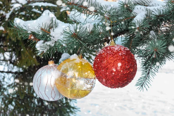 Färgglada Julgranskulor Hänger Trädgren Snö Vinter Skog Selektivt Fokus — Stockfoto