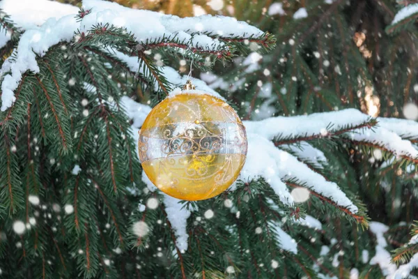 Yellow christmas ball hanging on tree branch in snow winter forest. Selective focus.